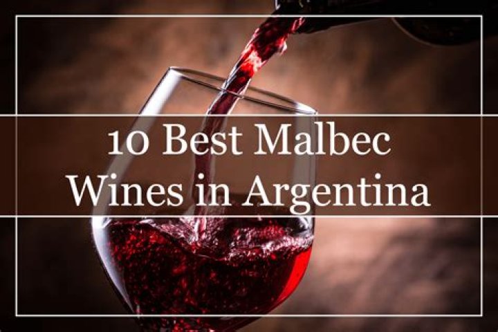 Are Chianti and Malbec similar?