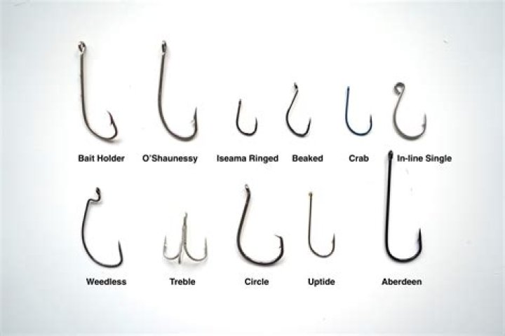 Are circle hooks better for catch and release?
