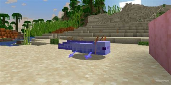 Are Gold axolotls rare in Minecraft?