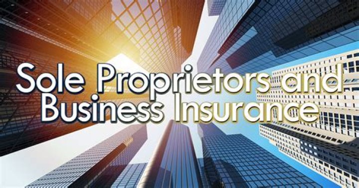 Are insurance agents sole proprietors?