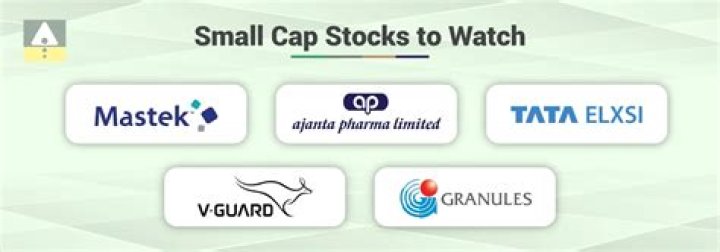 Are small-cap stocks more profitable?