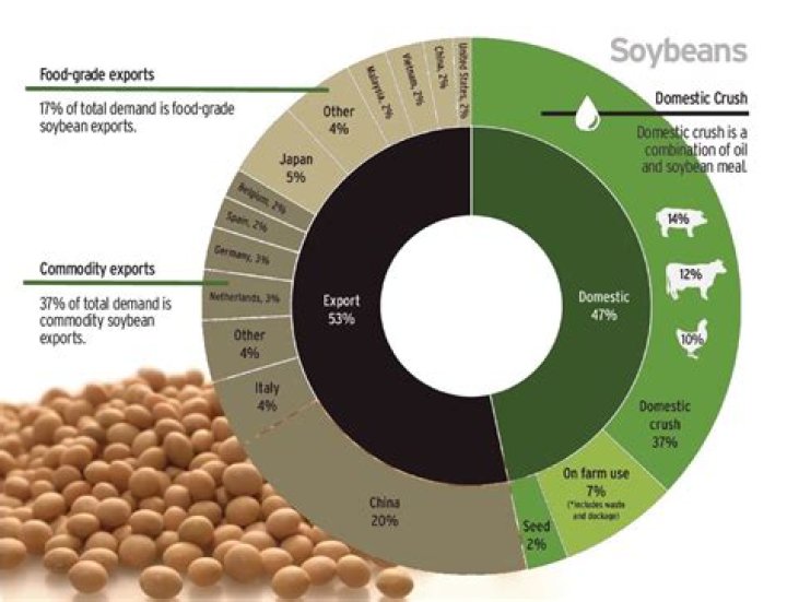 Are soybeans a commodity?