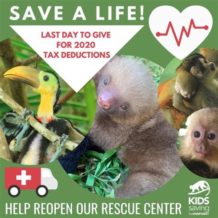 Are there any tax deductions for animal rescue?