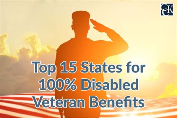Can a 100% disabled veteran owned a business?