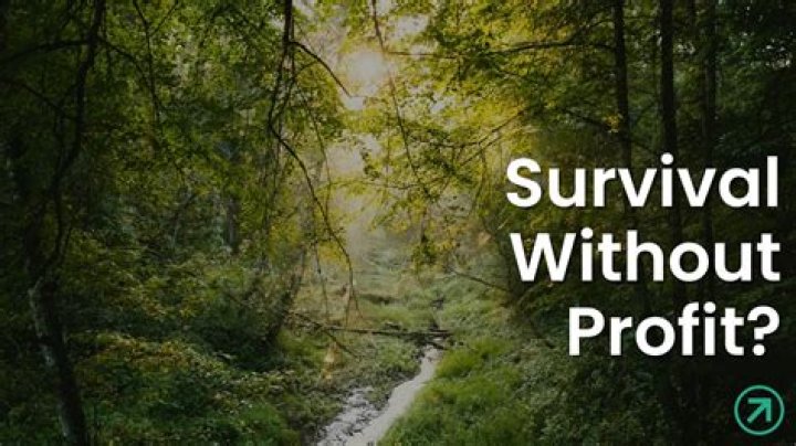 Can a business survive without proper accounting?