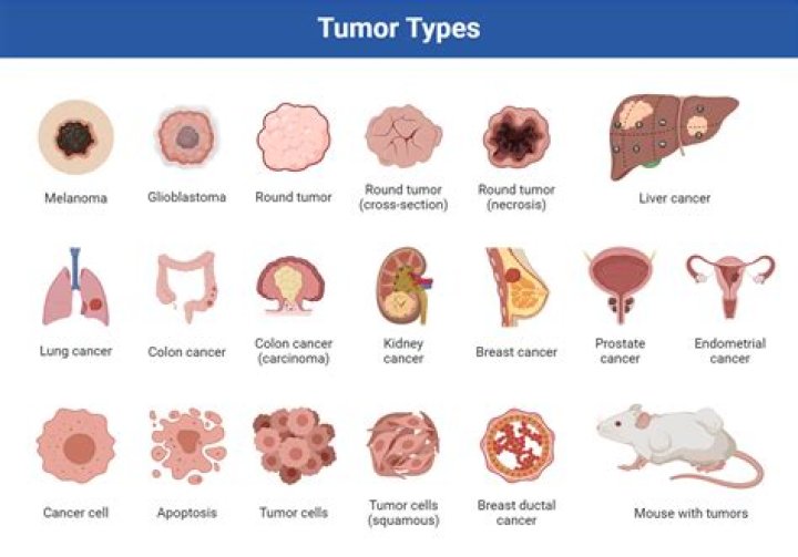 Can a cancerous tumor shrink on its own?
