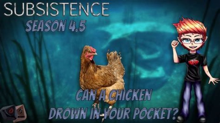 Can a chicken drown?
