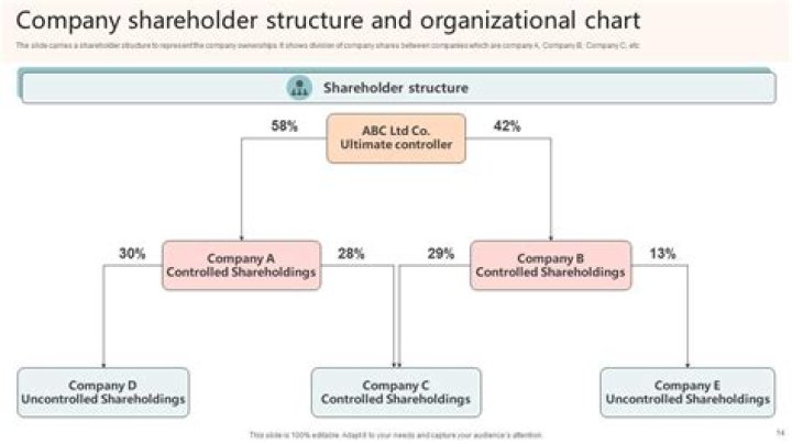 Can a corporation be a shareholder in an LLC?