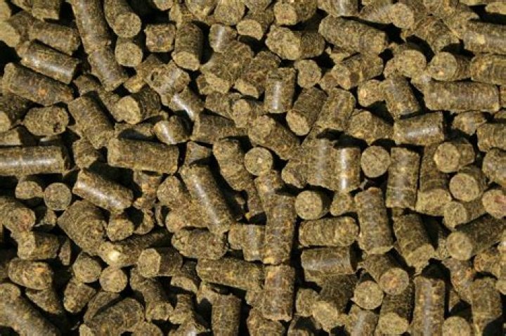 Can a Cushings horse have alfalfa pellets?