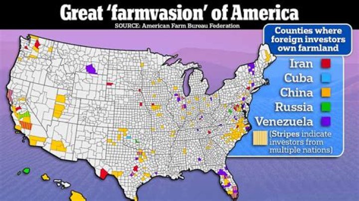 Can a foreign company own property in the US?