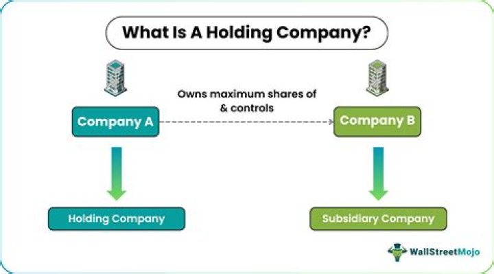 Can a holding company own 100%?