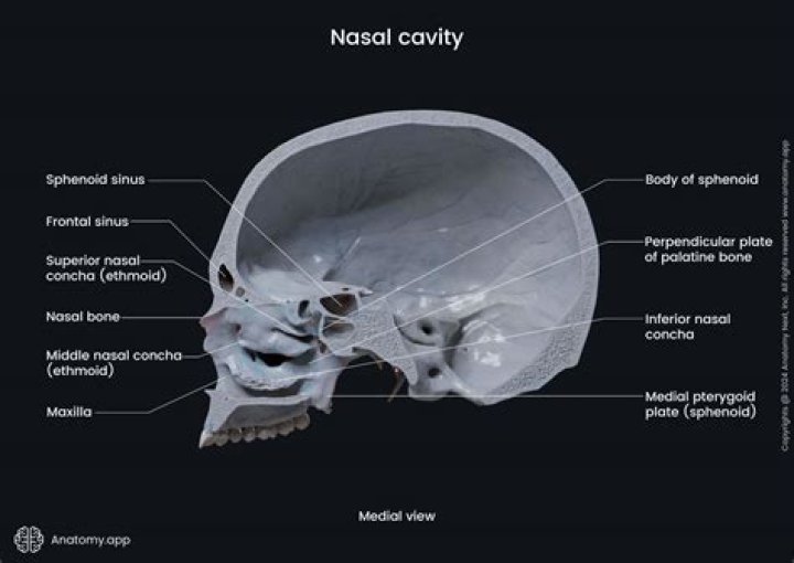 Can a hole in your skull heal?