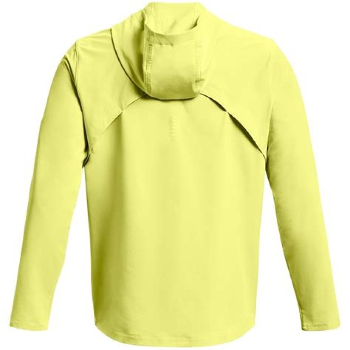Can a human outrun a yellow jacket?