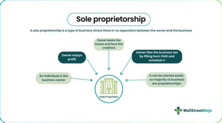 Can a LLC get a salary if it is a sole proprietorship?