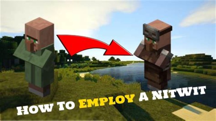 Can a nitwit villager get a job?