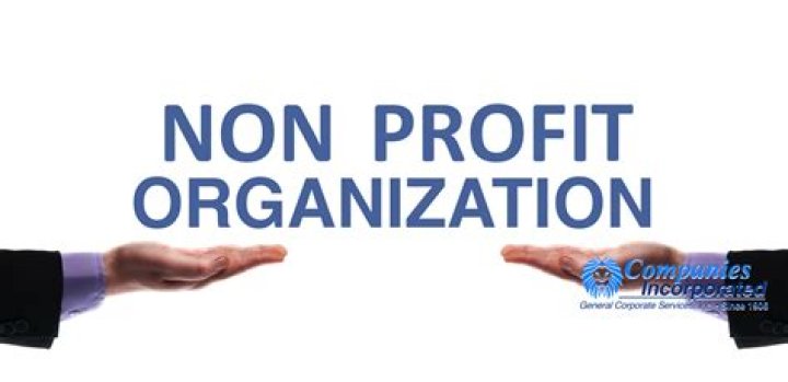 Can a non profit organization buy stock?