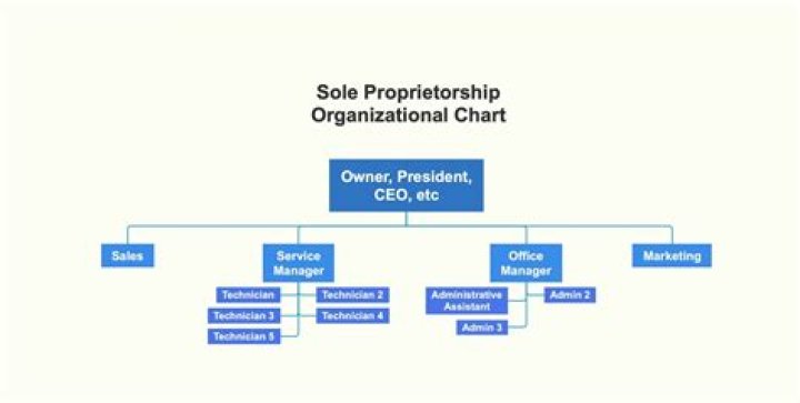 Can a sole proprietorship be owned by a corporation?