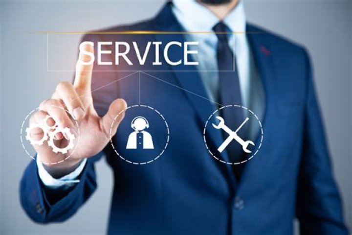 Can an LLC provide professional services in Texas?