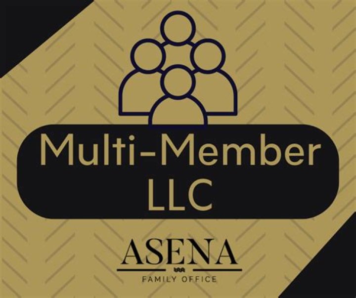 Can an S Corp own a multi-member LLC?