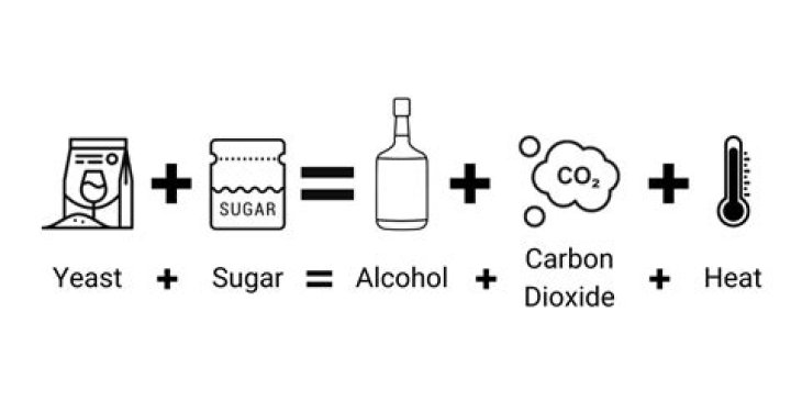 Can bakers yeast be used for alcohol?