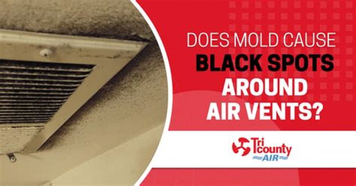 Can black mold spread through the air?