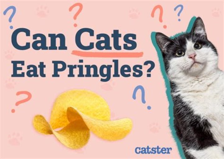 Can cats eat Pringles?