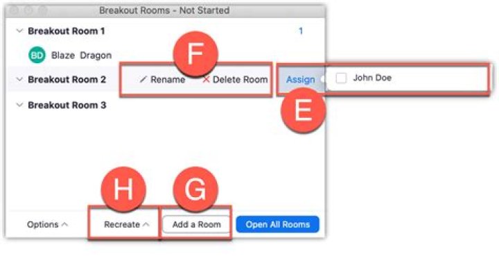 Can co host assign breakout rooms?