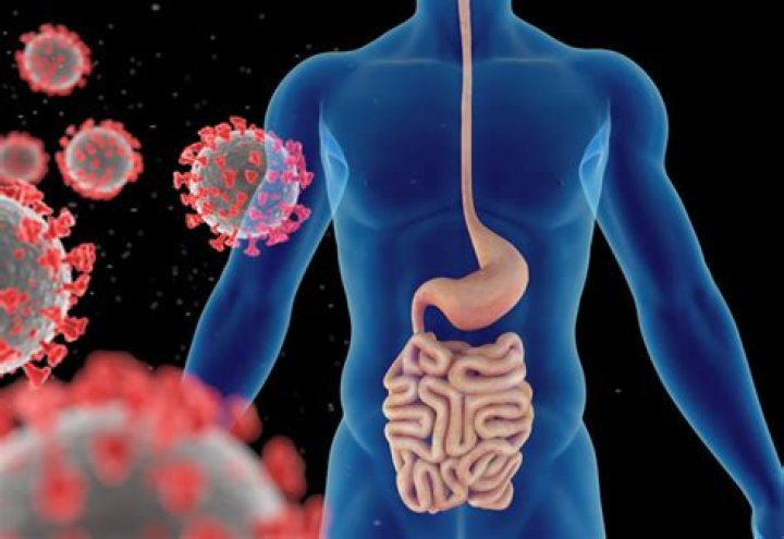 Can Covid affect your stomach?