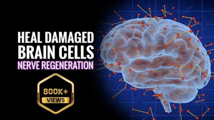 Can damaged brain cells be repaired?