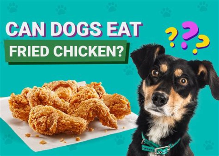 Can dogs eat fried chicken?