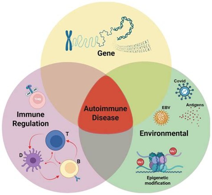 Can eczema be an autoimmune disease?