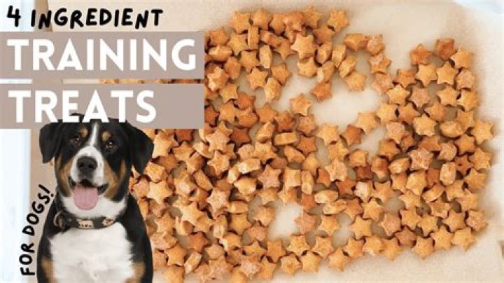 CAN expired dog treats make dogs sick?
