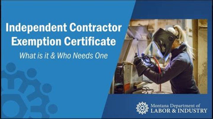 Can F-1 OPT student work as independent contractor?