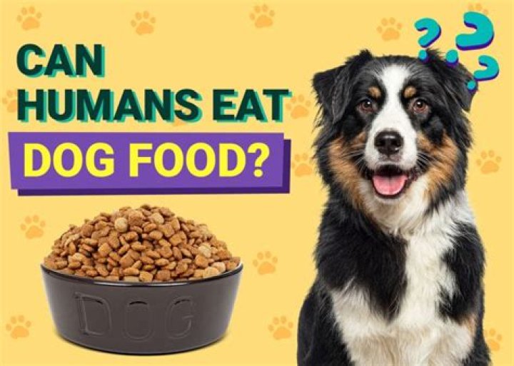 Can humans eat dog chocolate?