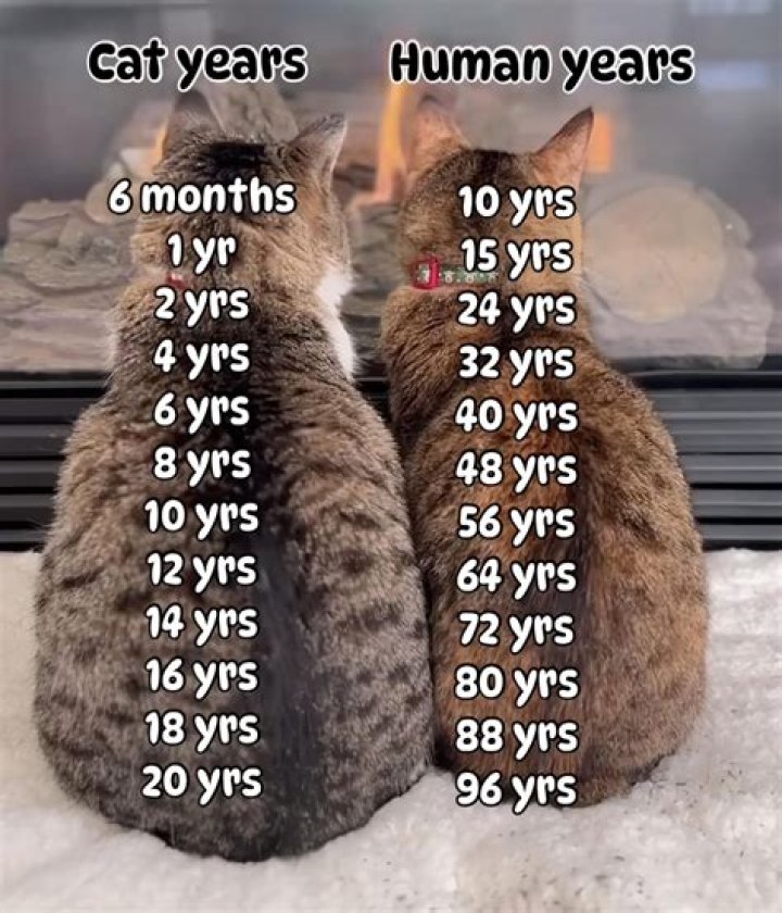 Can I live 20 years with a pacemaker?