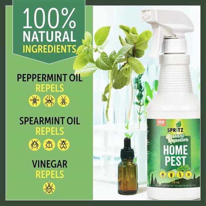 Can I mix vinegar and peppermint oil?