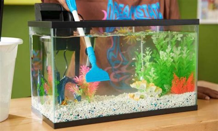 Can I write off a fish tank for my office?