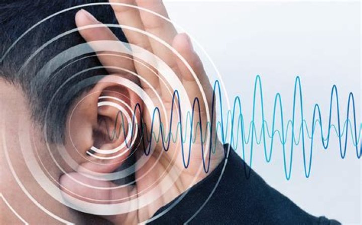 Can inner ear bones be replaced?