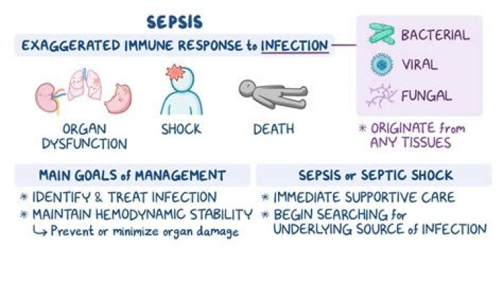 Can organ damage from sepsis be reversed?