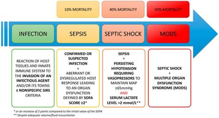 Can someone survive septic shock?