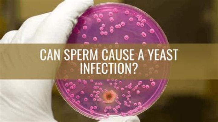 Can sperms cause yeast infection?