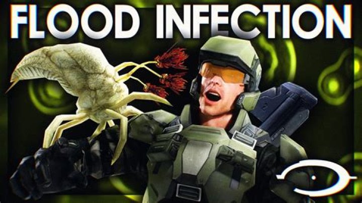 Can the flood infect brutes?