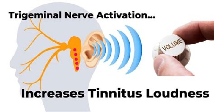 Can tinnitus damage your brain?