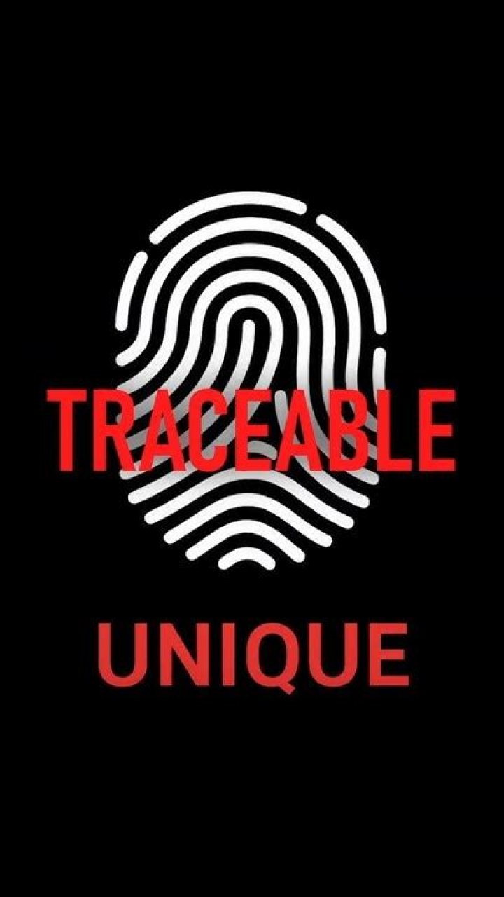 Can Tor be traced?