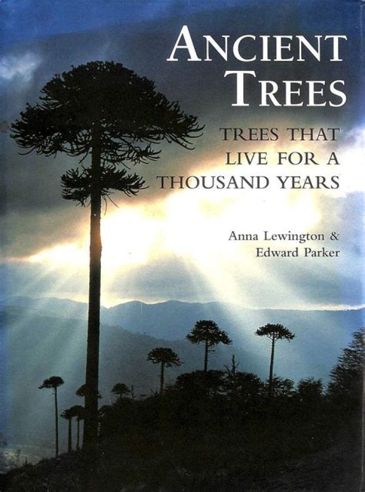 Can trees live for 1000 years?