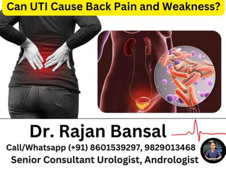 Can UTI cause testicle swelling?