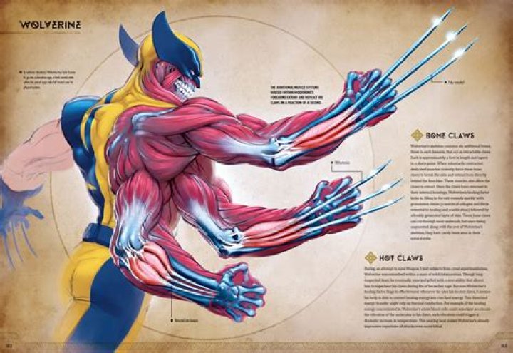 Can Wolverine regenerate his heart?
