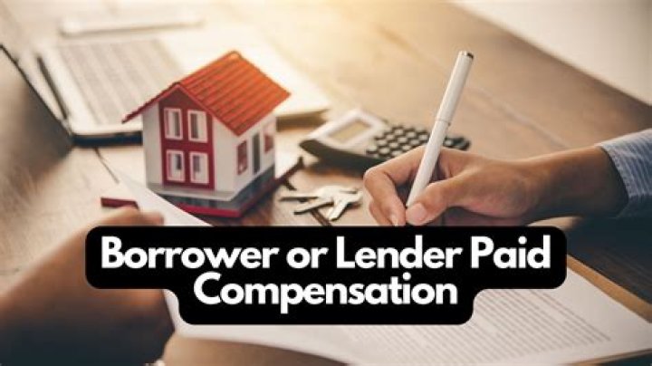 Can you adjust the borrower paid compensation for each loan?