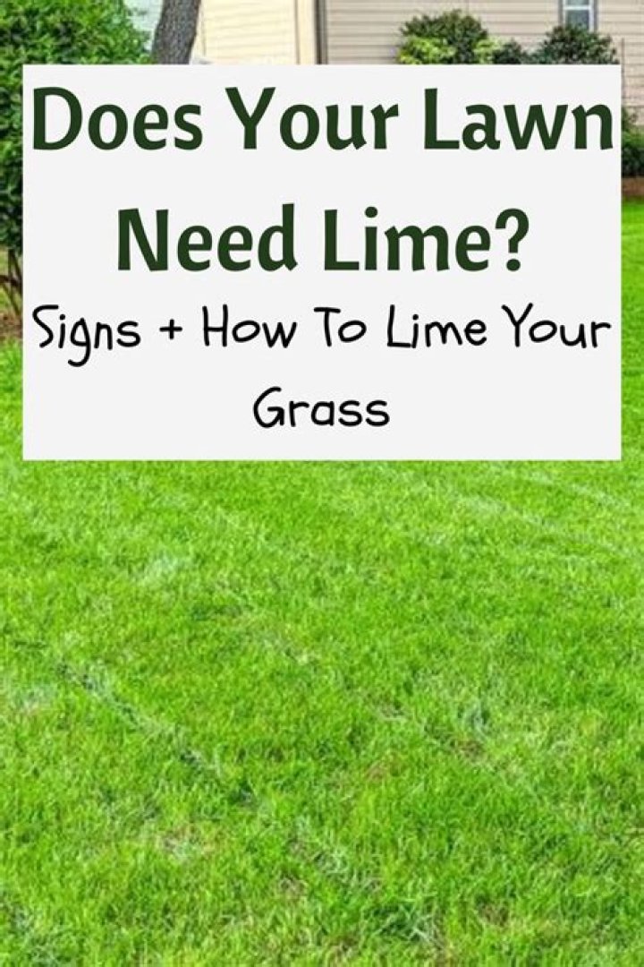 Can you apply lime and grass seed at the same time?