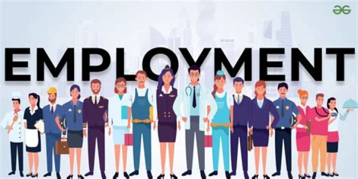 Can you be employed by your own company?